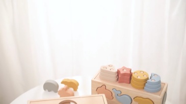 Wooden Shape Sorting Car