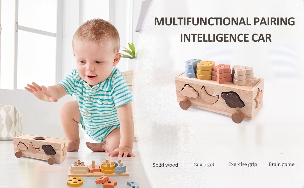 Wooden Shape Sorting Car