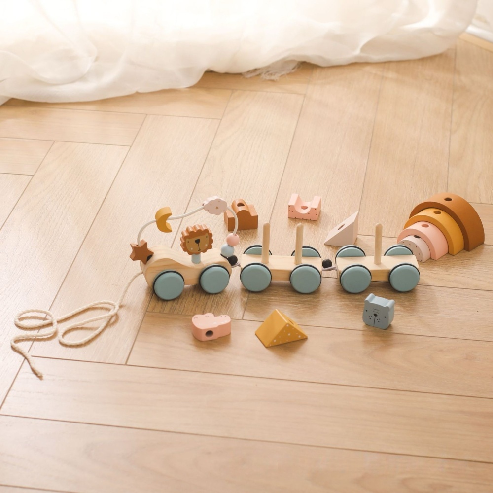 Lion Ring Beads Pulling Car Toy