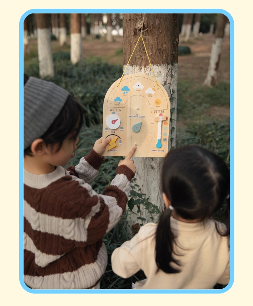 Wooden Weather Wall Chart