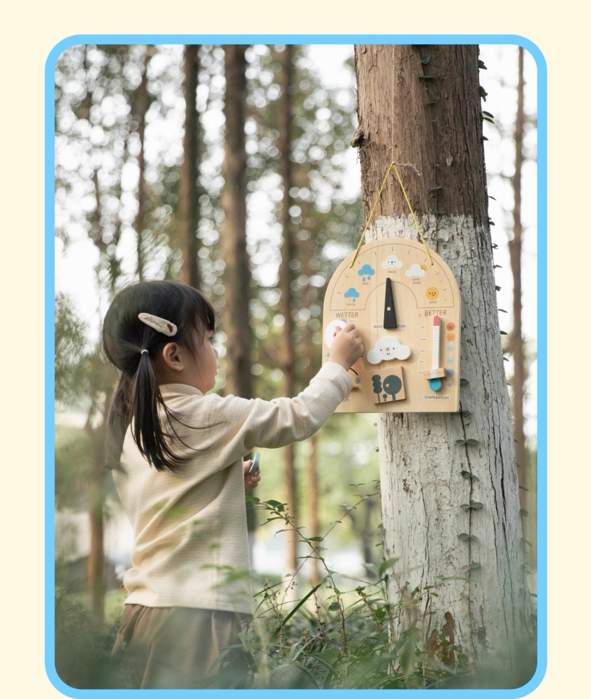 Wooden Weather Wall Chart
