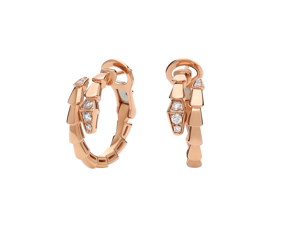 Luxury Brand Jewelry (Earrings) 1