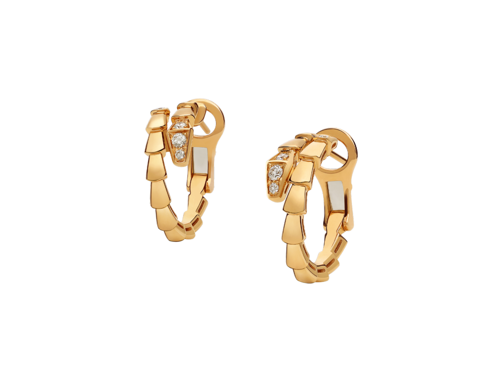Luxury Brand Jewelry (Earrings) 1