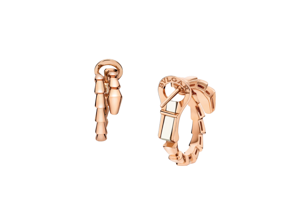 Luxury Brand Jewelry (Earrings) 1