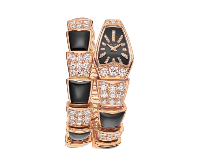 Luxury Brand Watches (1)