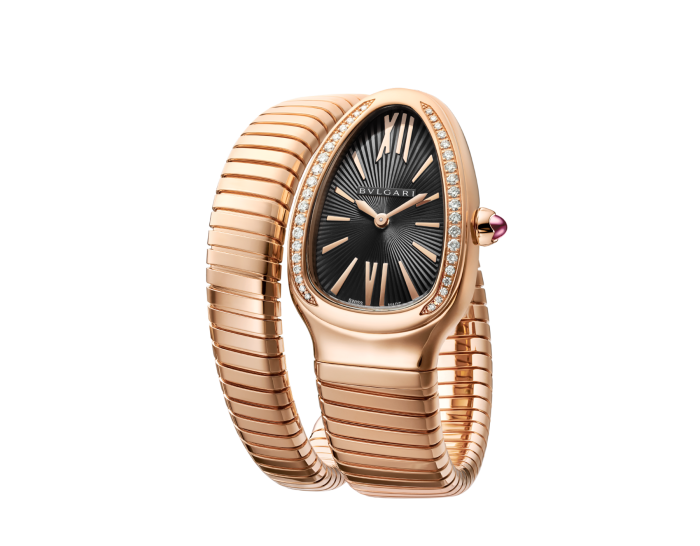 Luxury Brand Watches (1)