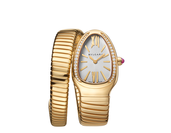 Luxury Brand Watches (1)