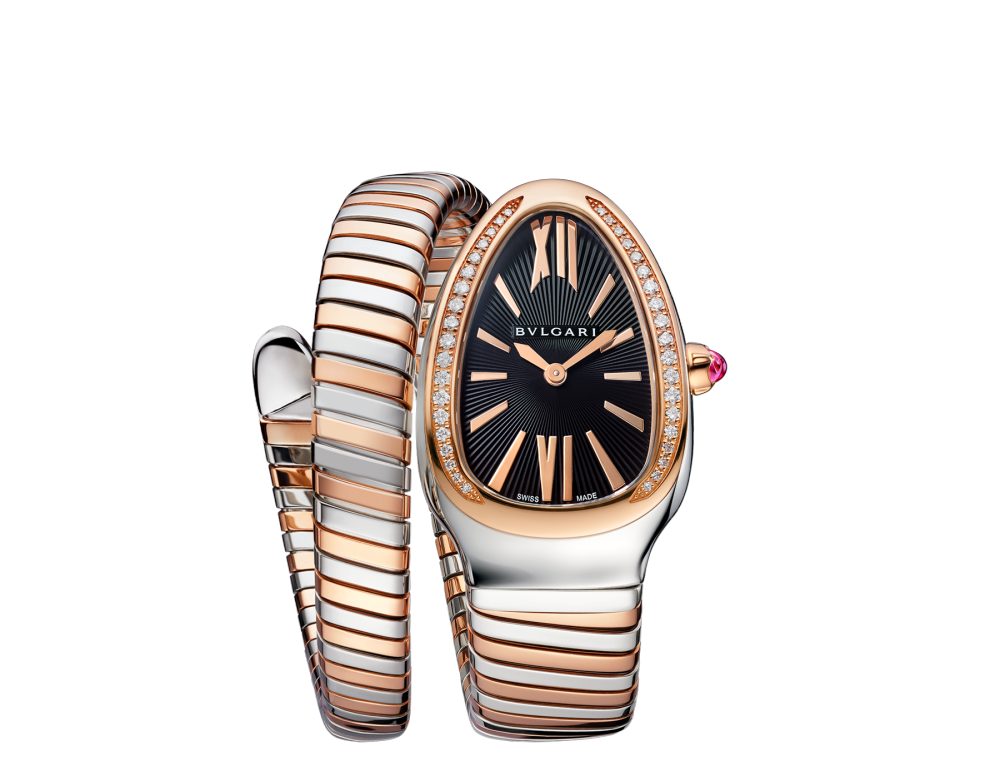 Luxury Brand Watches (1)