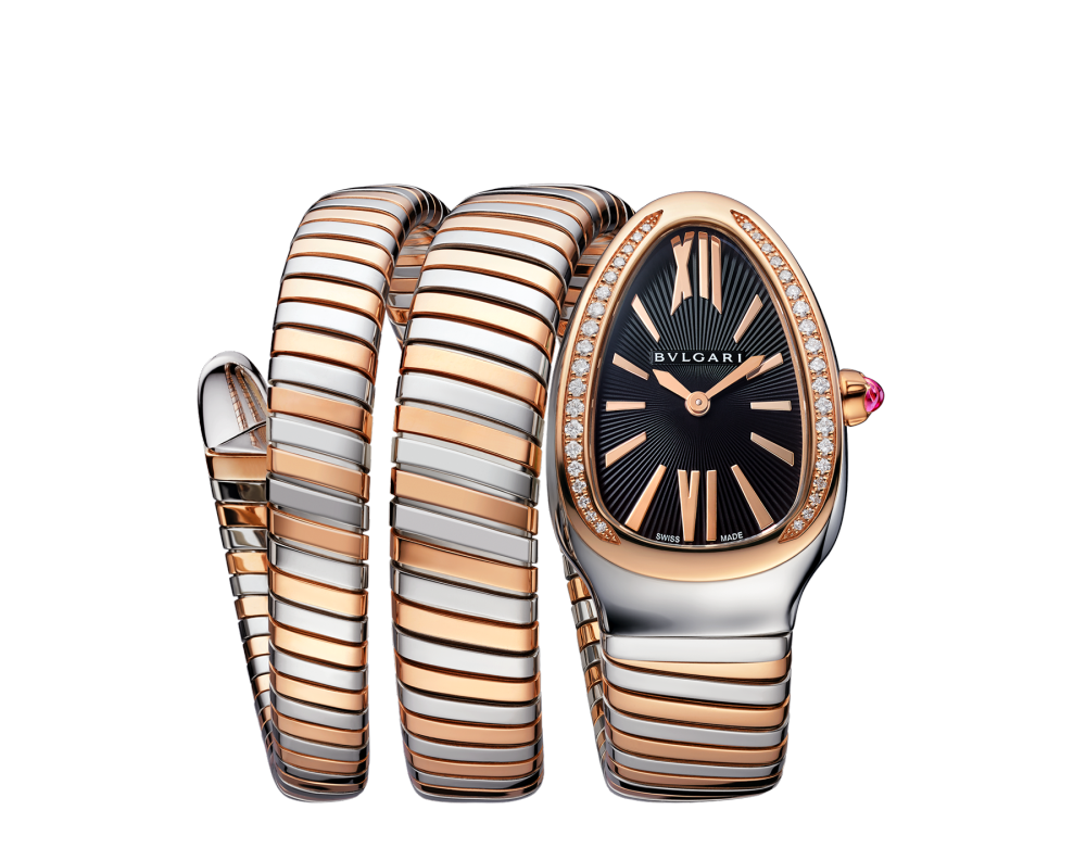 Luxury Brand Watches (1)