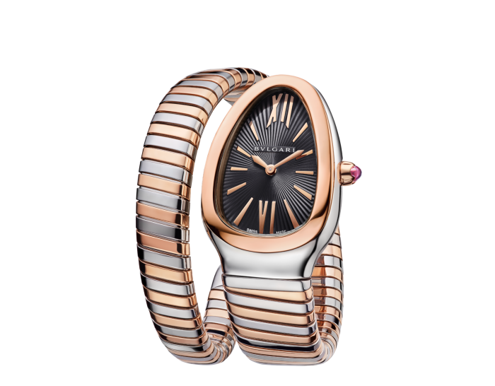 Luxury Brand Watches (1)