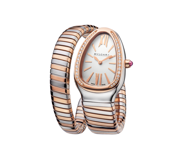 Luxury Brand Watches (1)