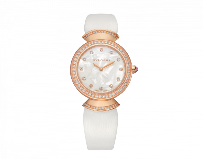 Luxury Brand Watches (1)