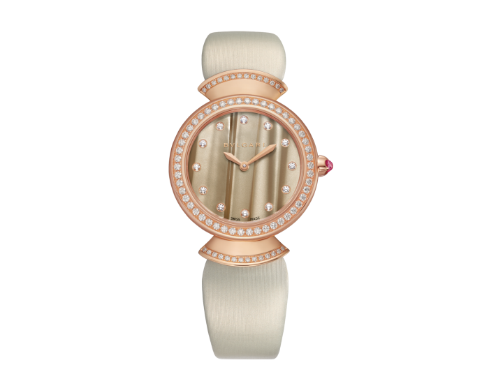 Luxury Brand Watches (1)