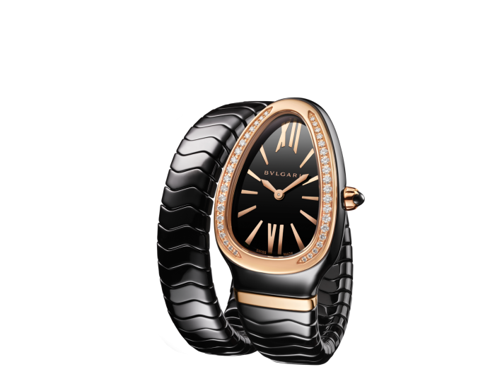 Luxury Brand Watches (1)