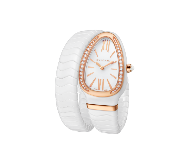 Luxury Brand Watches (1)