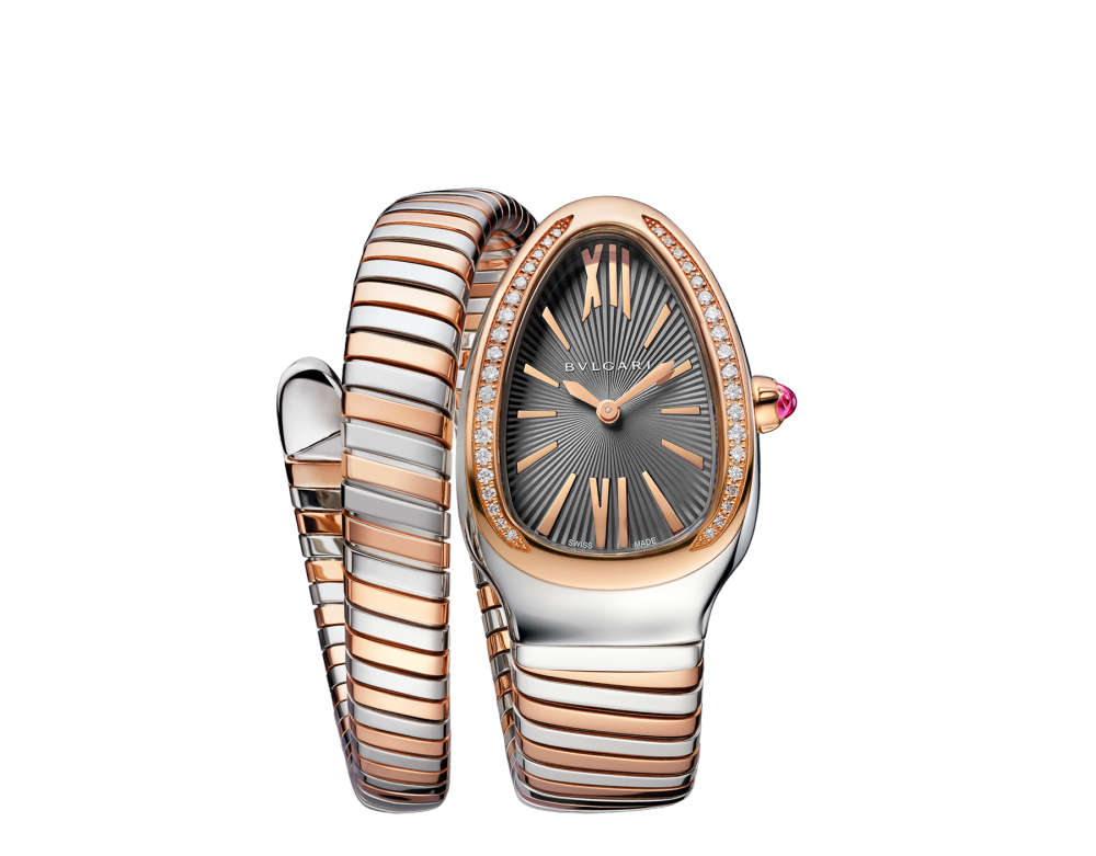 Luxury Brand Watches (1)