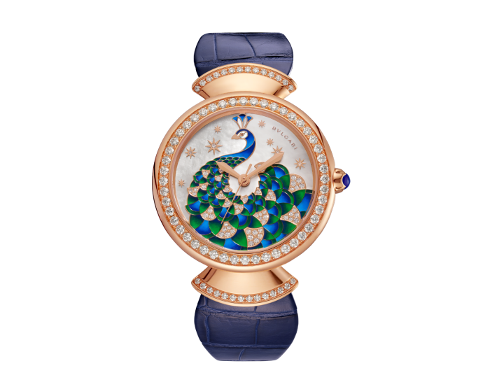 Luxury Brand Watches (1)