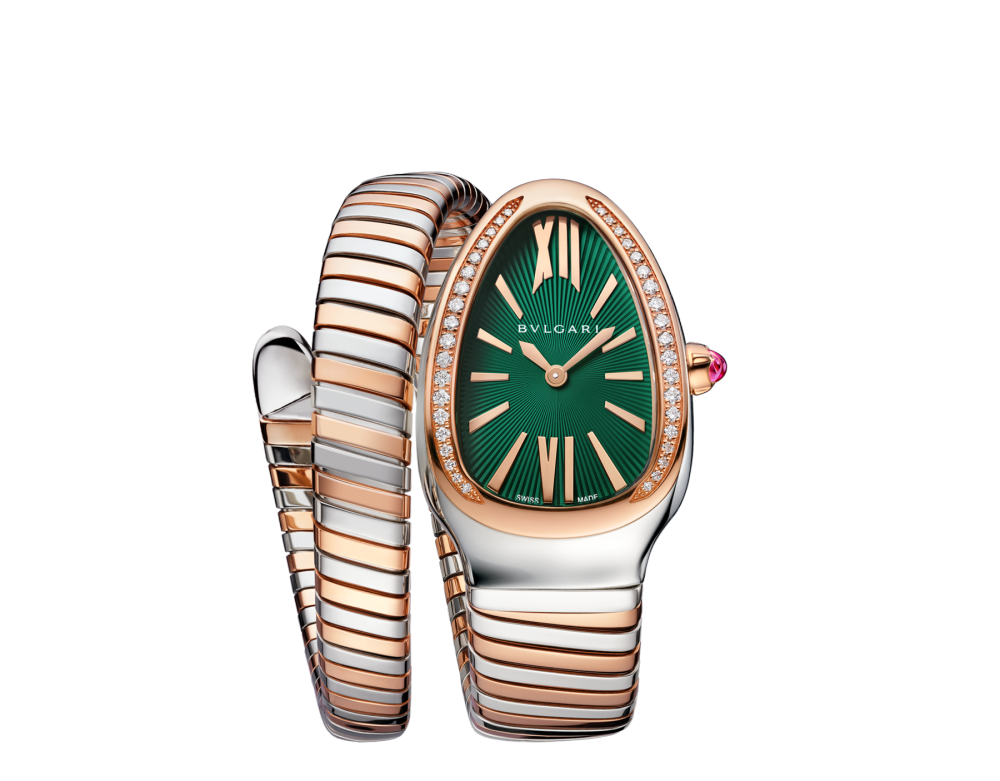 Luxury Brand Watches (1)