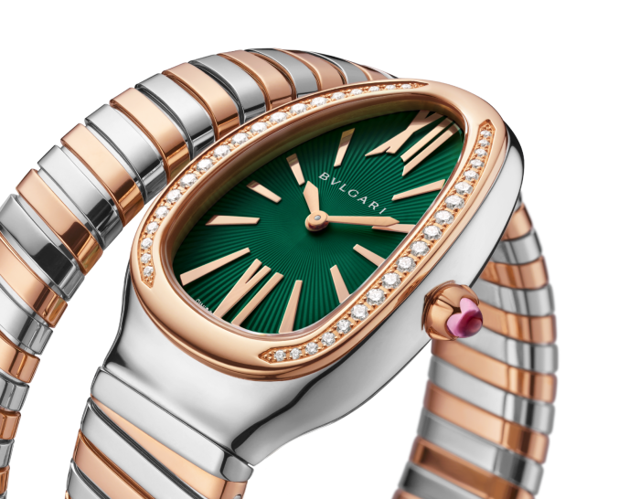 Luxury Brand Watches (1)