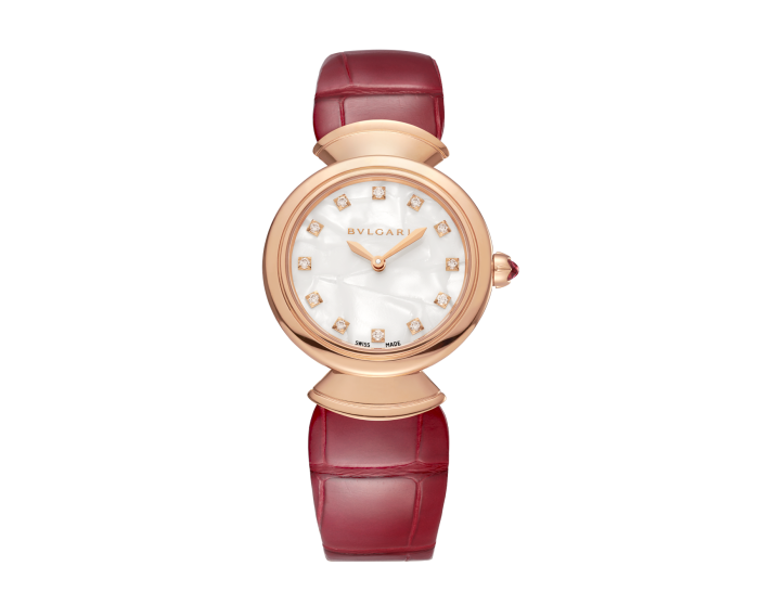 Luxury Brand Watches (1)