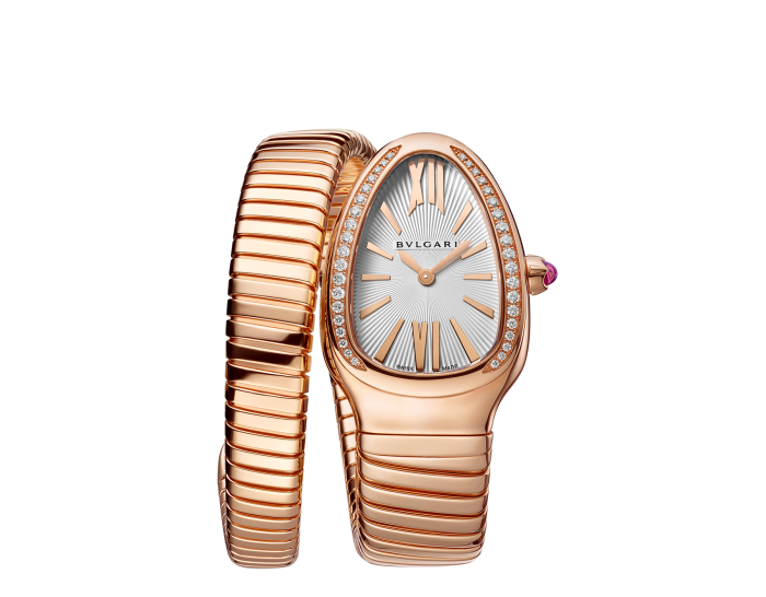 Luxury Brand Watches (1)