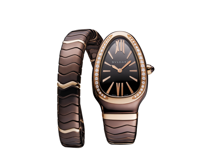 Luxury Brand Watches (1)
