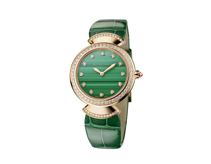 Luxury Brand Watches (1)