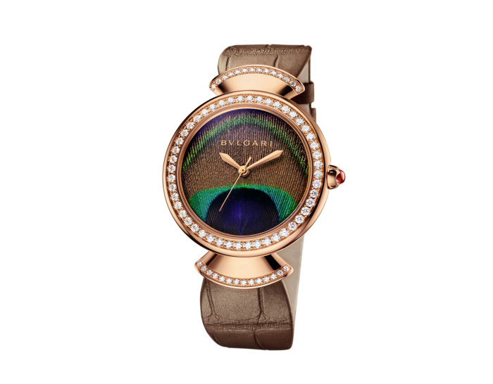 Luxury Brand Watches (1)