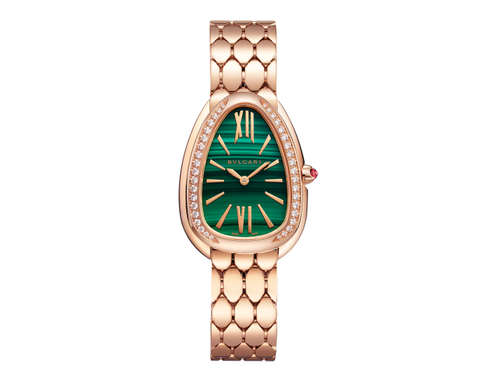 Luxury Brand Watches (1)