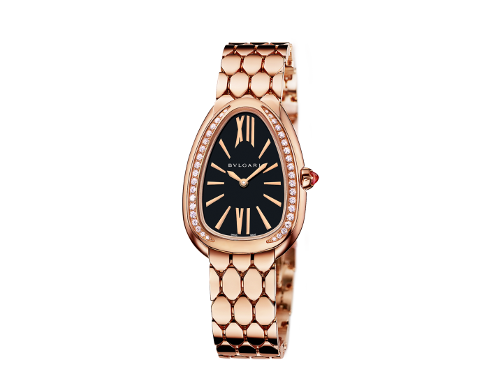 Luxury Brand Watches (1)