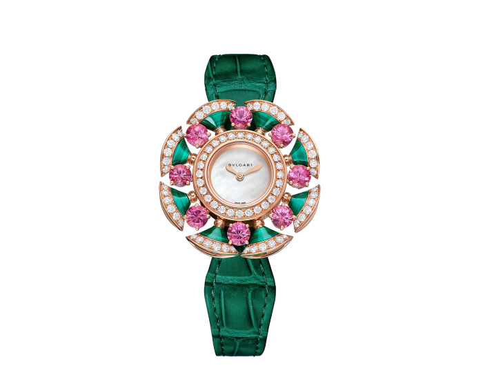 Luxury Brand Watches (1)