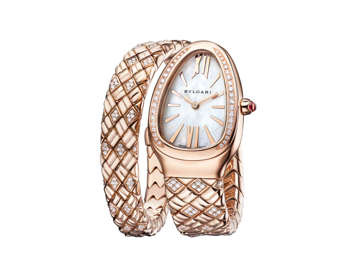 Luxury Brand Watches (1)