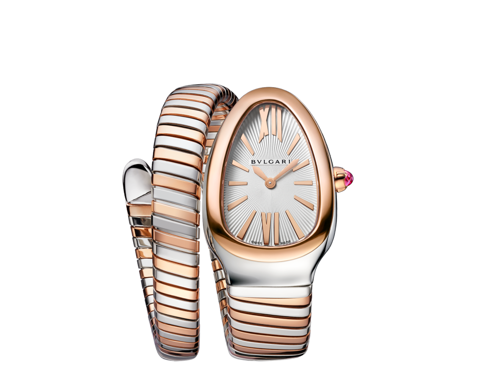 Luxury Brand Watches (1)