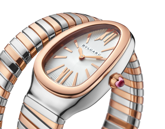 Luxury Brand Watches (1)