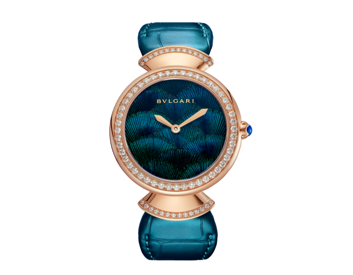 Luxury Brand Watches (1)