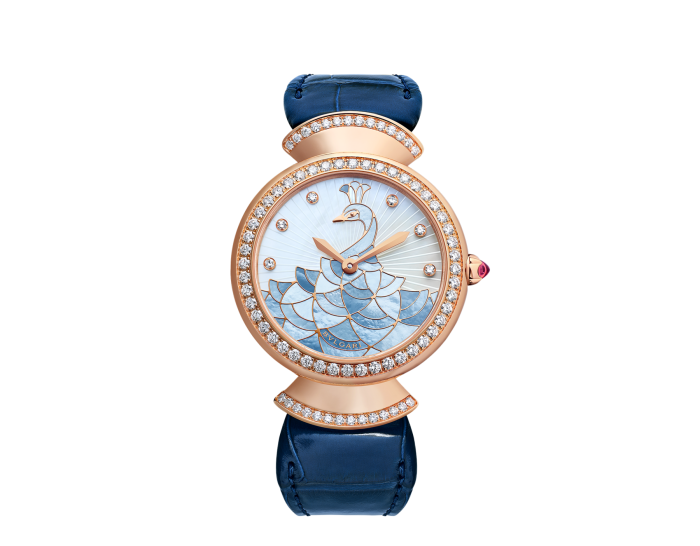 Luxury Brand Watches (1)