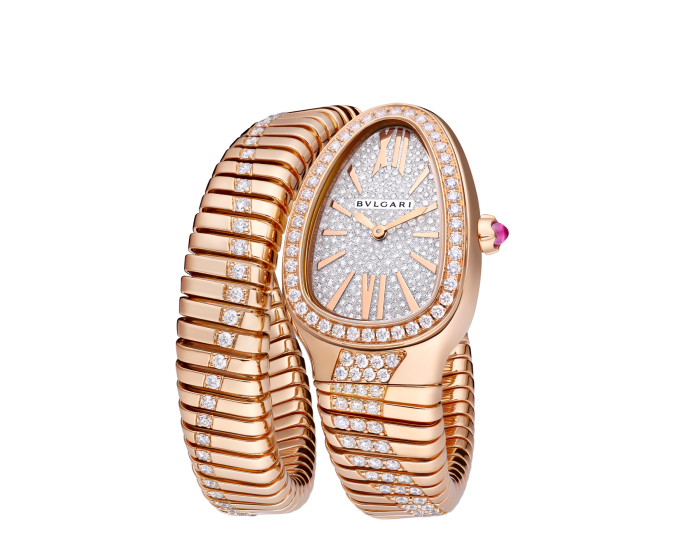 Luxury Brand Watches (1)