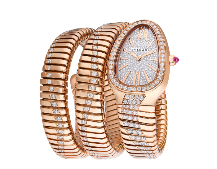 Luxury Brand Watches (1)