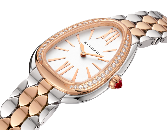 Luxury Brand Watches (1)