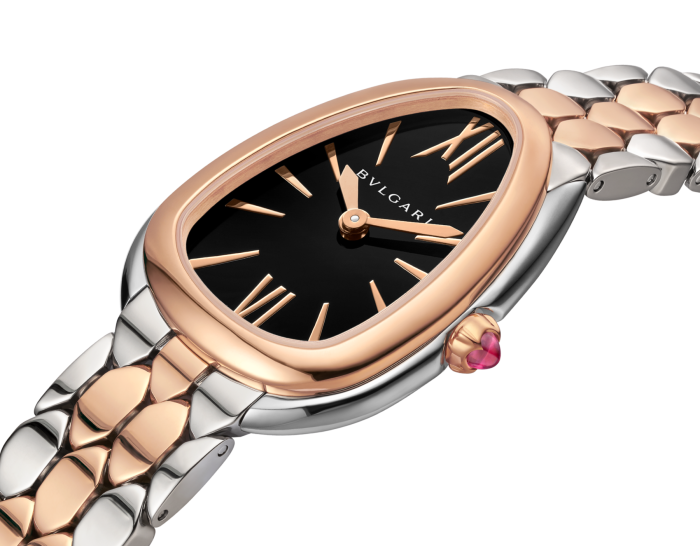 Luxury Brand Watches (1)