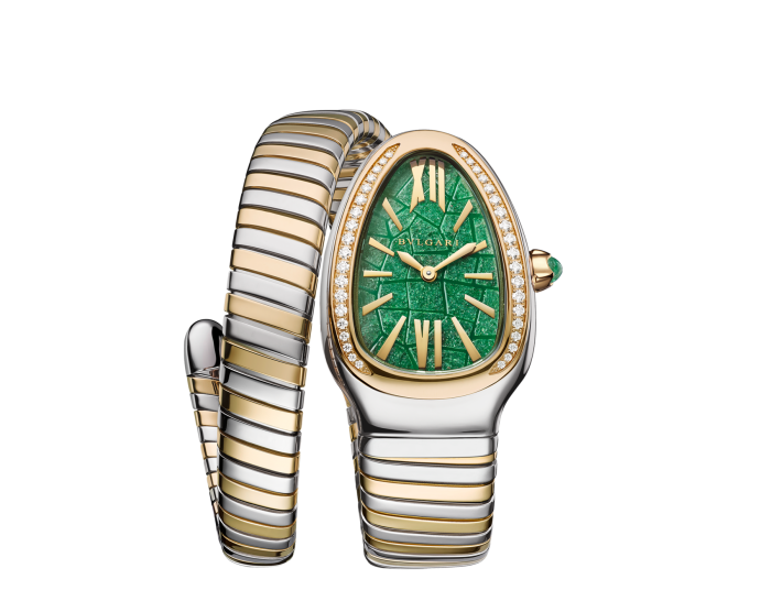 Luxury Brand Watches (1)