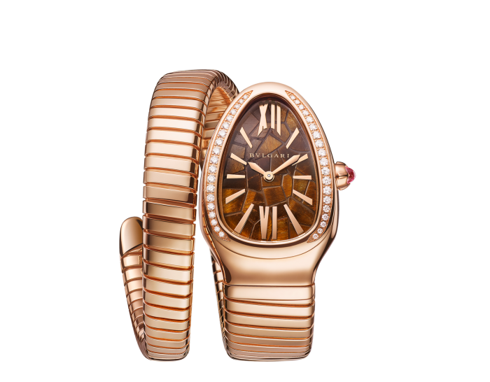 Luxury Brand Watches (1)