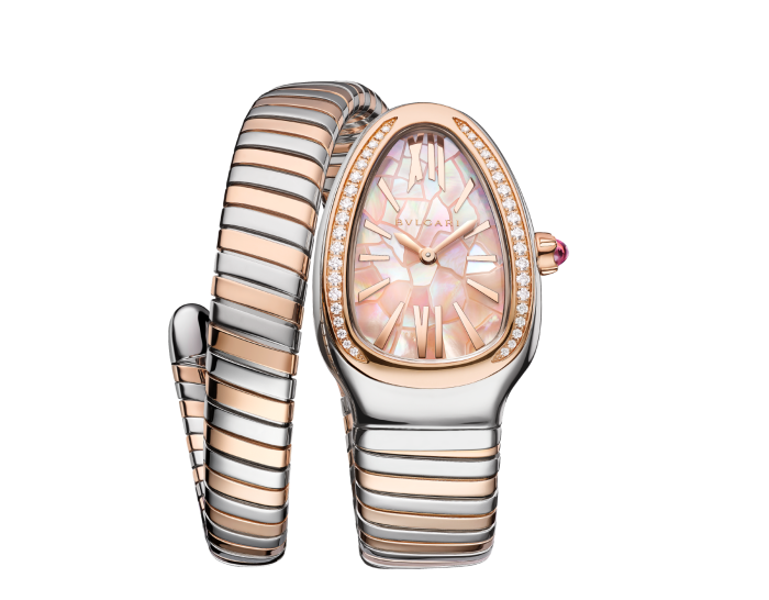 Luxury Brand Watches (1)