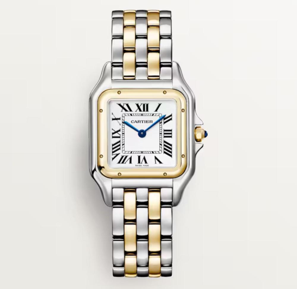 Luxury Brand Watches (3)