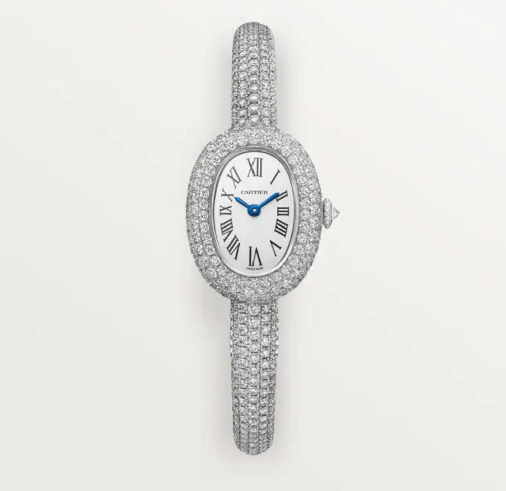 Luxury Brand Watches (3)