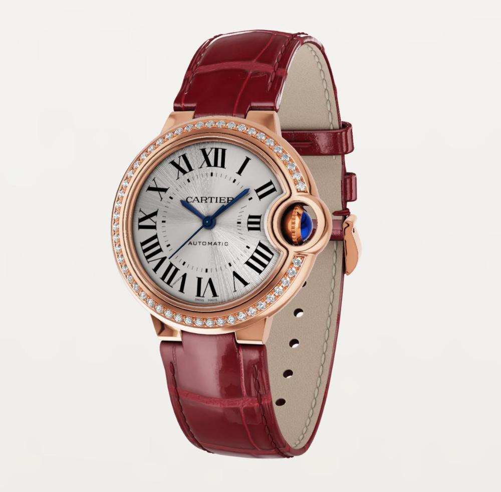 Luxury Brand Watches (3)