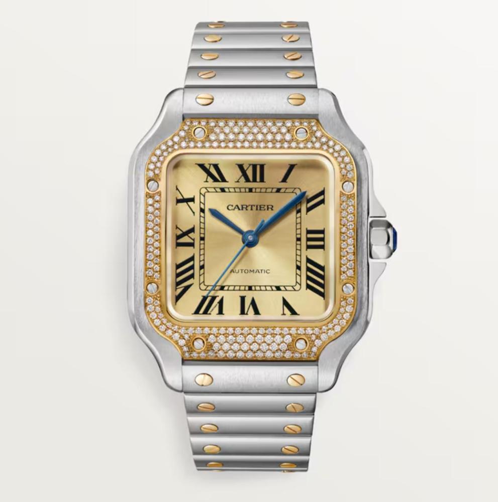 Luxury Brand Watches (3)