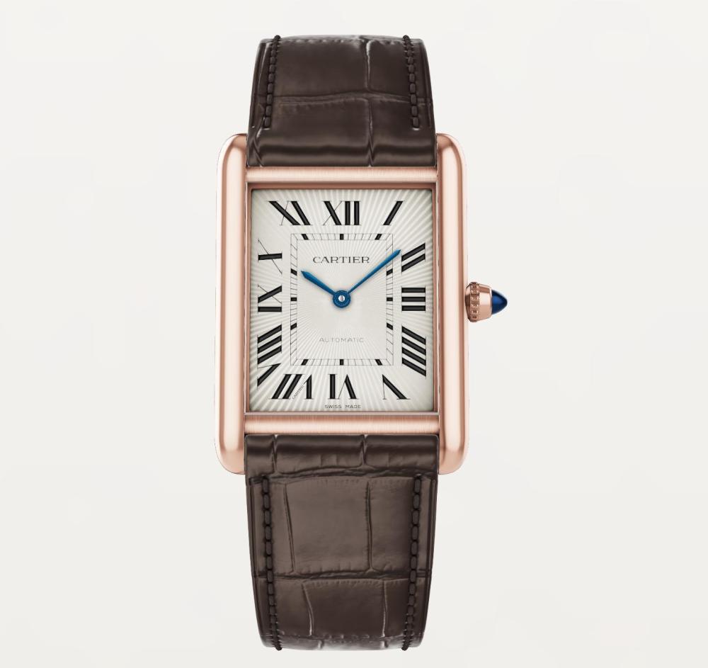 Luxury Brand Watches (3)