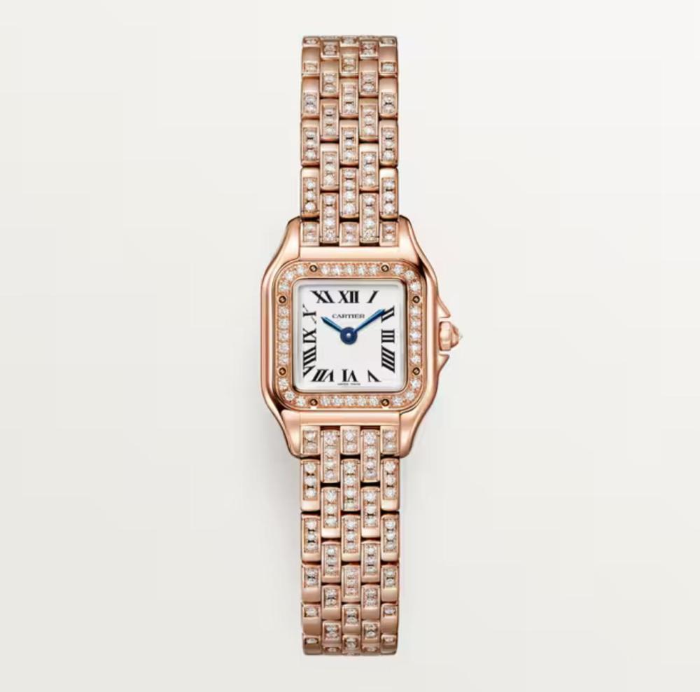 Luxury Brand Watches (3)