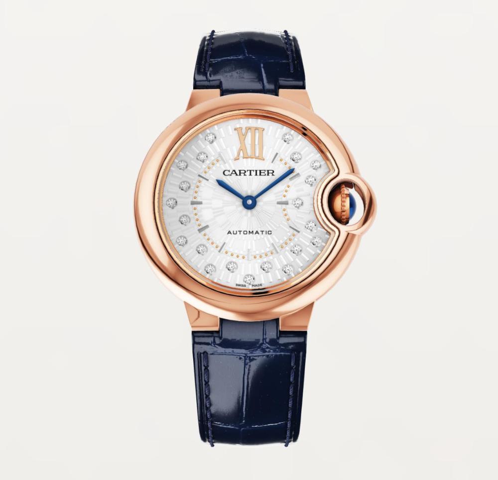Luxury Brand Watches (3)